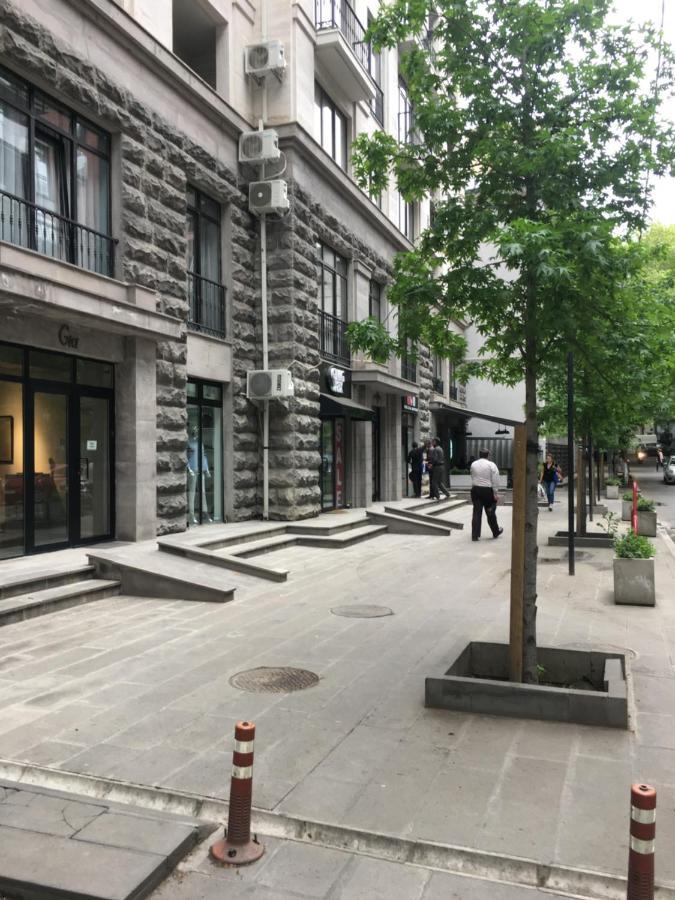 Apartment Vake ティビリシ エクステリア 写真