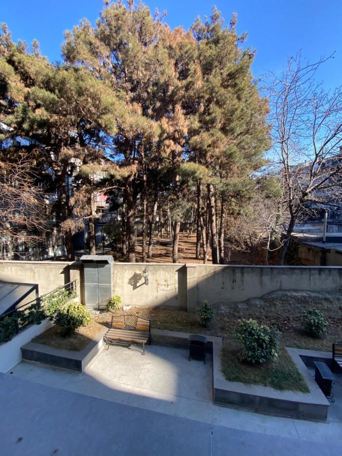 Apartment Vake ティビリシ エクステリア 写真